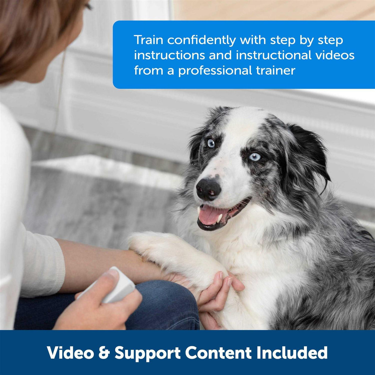 Remote Reward Trainer O2237
