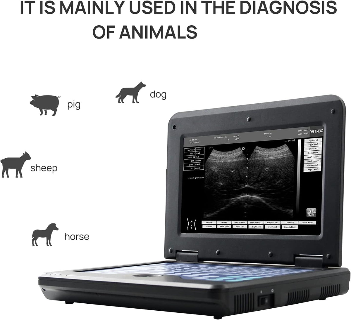 Portable Veterinary Ultrasound Scanner with Micro-Convex Probe J1011