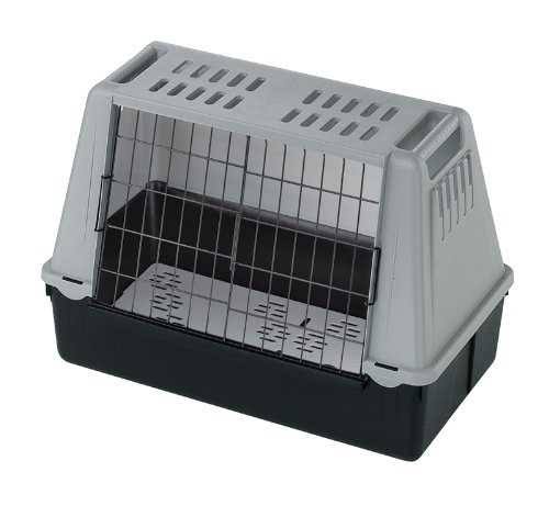 Dog Car U309246