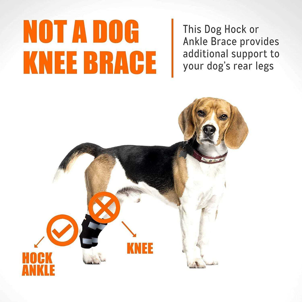 Dog Rear Leg Hock Ankle Support with Reflective Straps K580