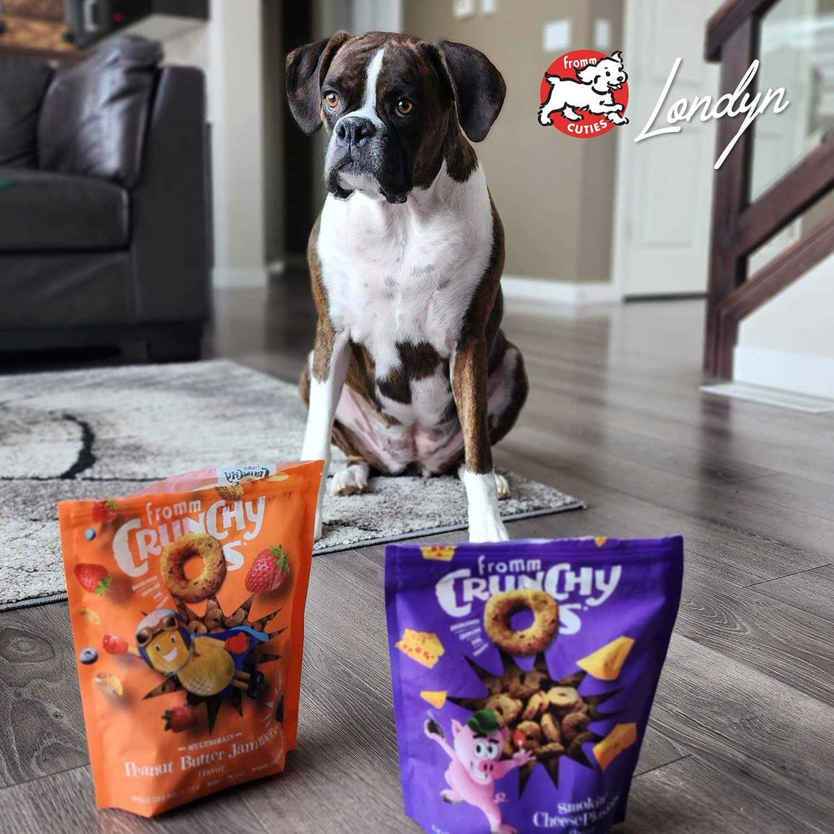 Dog Treats I25077