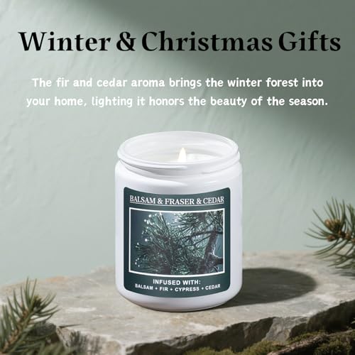 Christmas Tree Fir Pine Candles Z92788