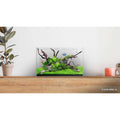 CLEAR MINI 16 Aquarium O488