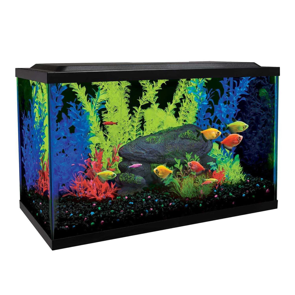 10 Gallon Aquarium Kit X176