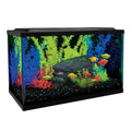 10 Gallon Aquarium Kit X176