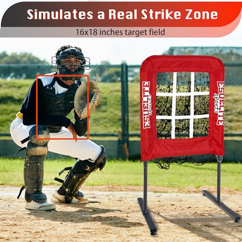 9 Hole Pitching Net with Strike Zone G370864