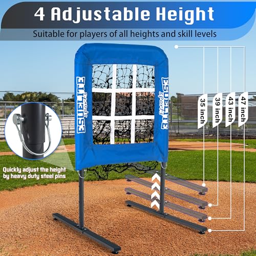9 Hole Pitching Net with Strike Zone G370864