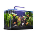 Glass Aquarium W144