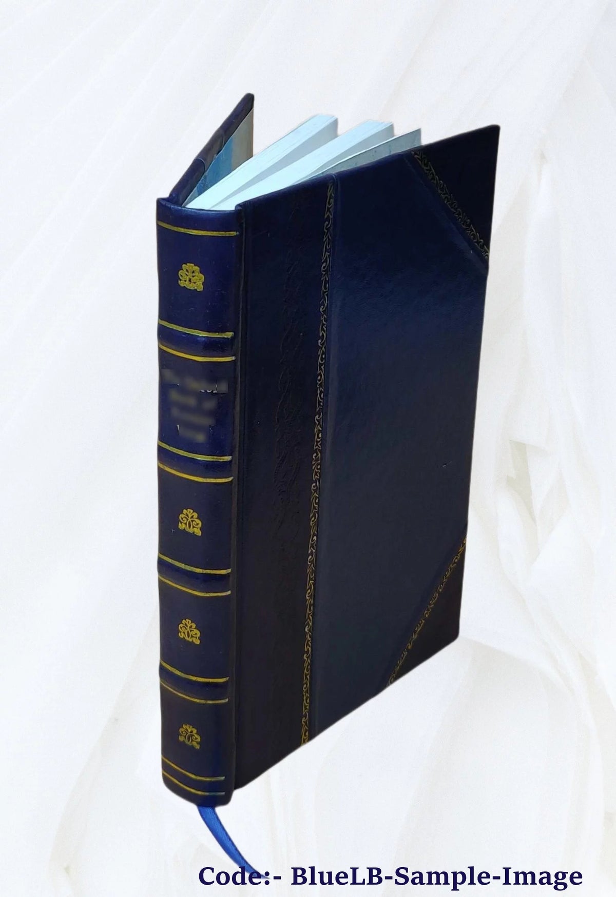 Hospitals Leather Bound E159
