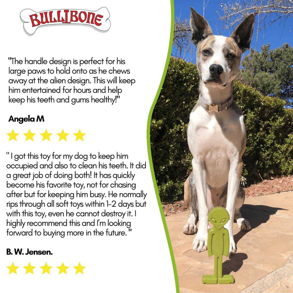 Small Dog Chew Toy with Easy Hold Grips C8543