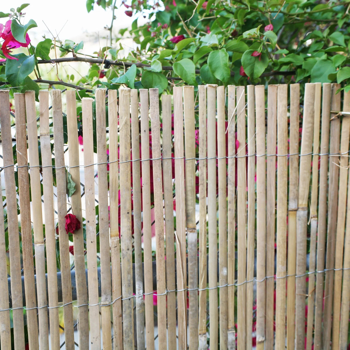 Natural Raw Split Bamboo Slat Fence 6 ft H x 6 ft L 2-Pack G9410
