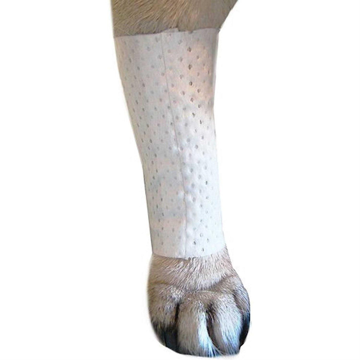 Pet Bandages Protective Covers D43425