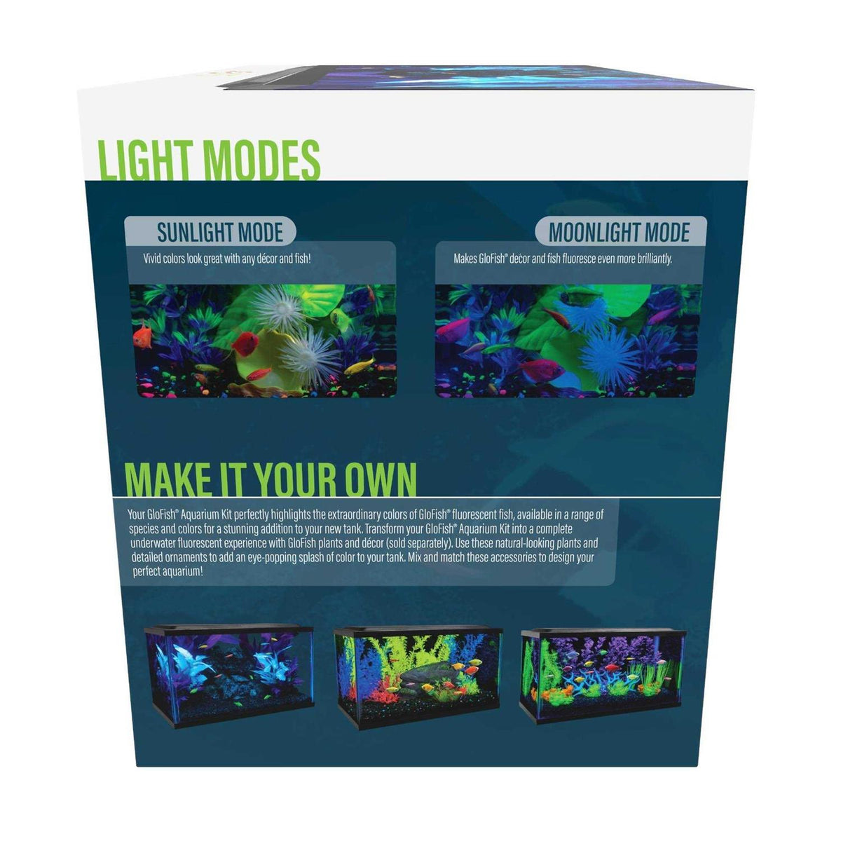 10 Gallon Aquarium Kit X176