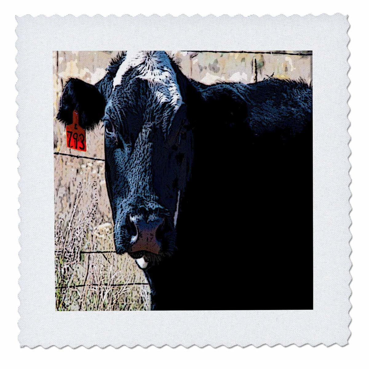 Black and White Cow Quilt Square 10 by 10-inch K928