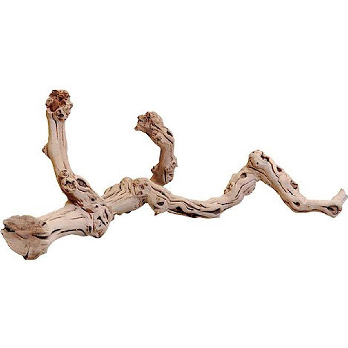 Sand Blasted Grape Vine G721333