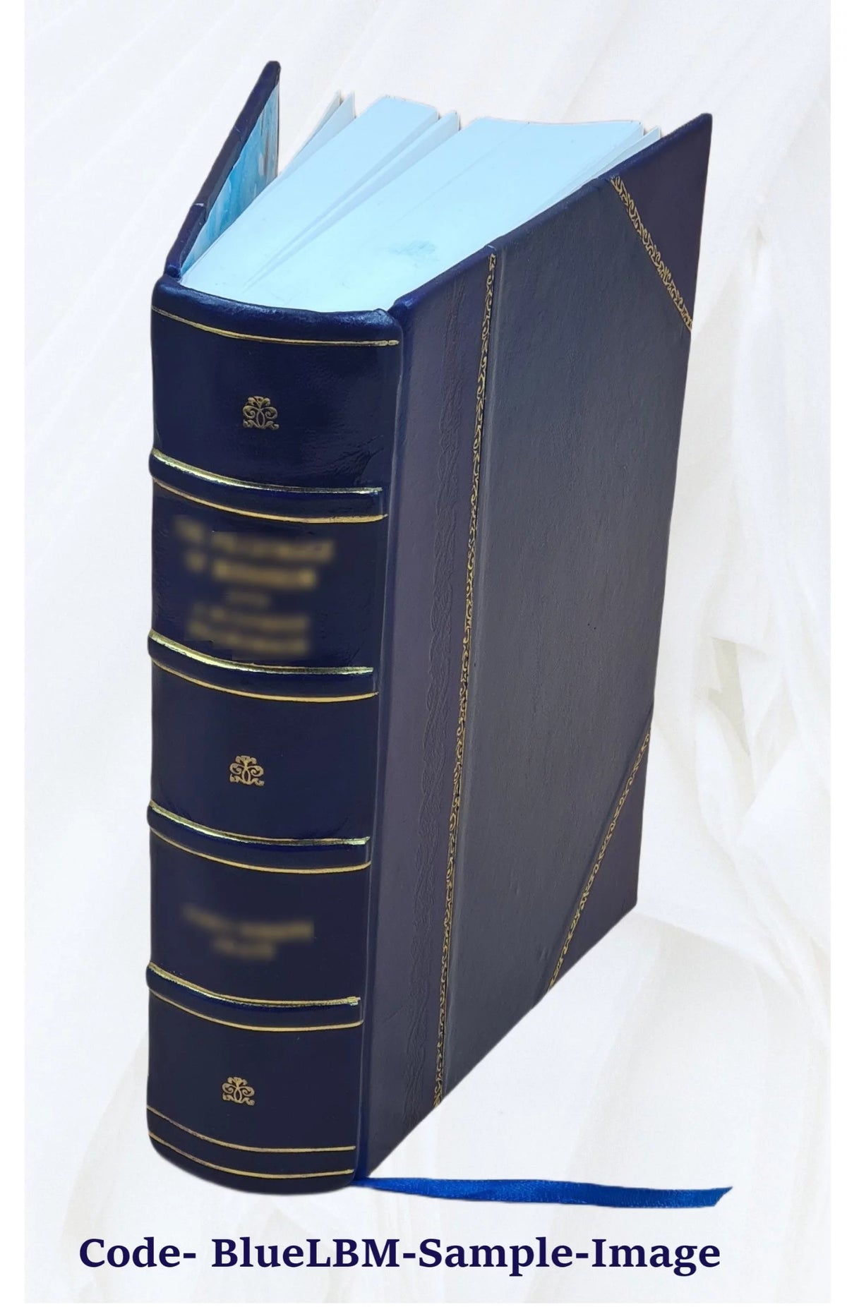 1920 Census Population Schedules Illinois Leather Bound L48342