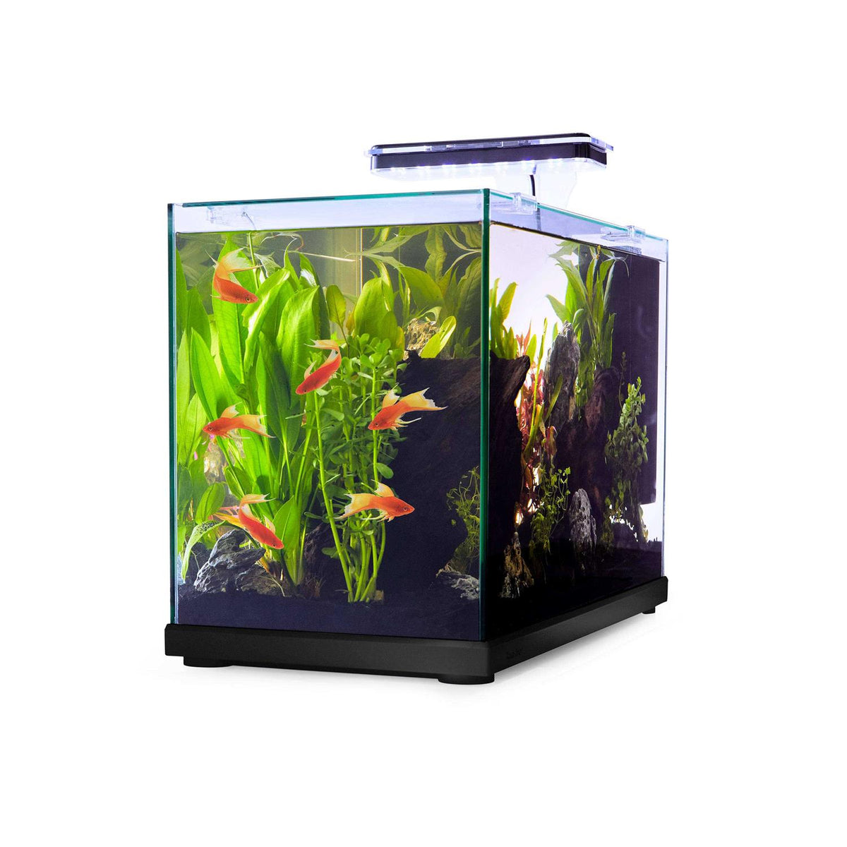 Glass Aquarium W144
