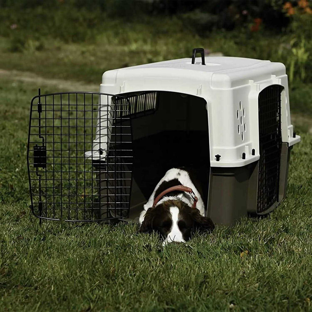 Plastic Pet Crate X5812