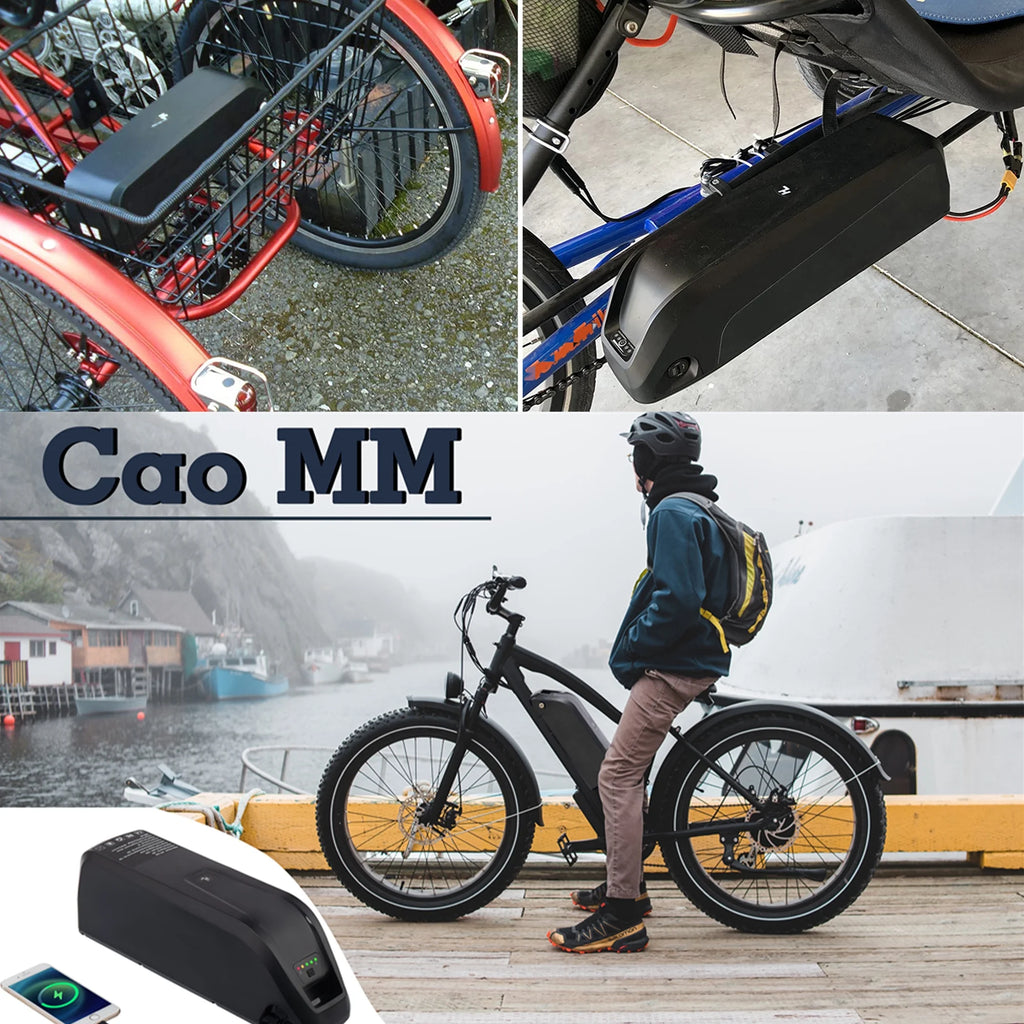 48V 20AH Lithium Ebike Battery X72880