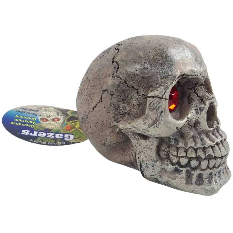 Skull Gazer Ornament R5214