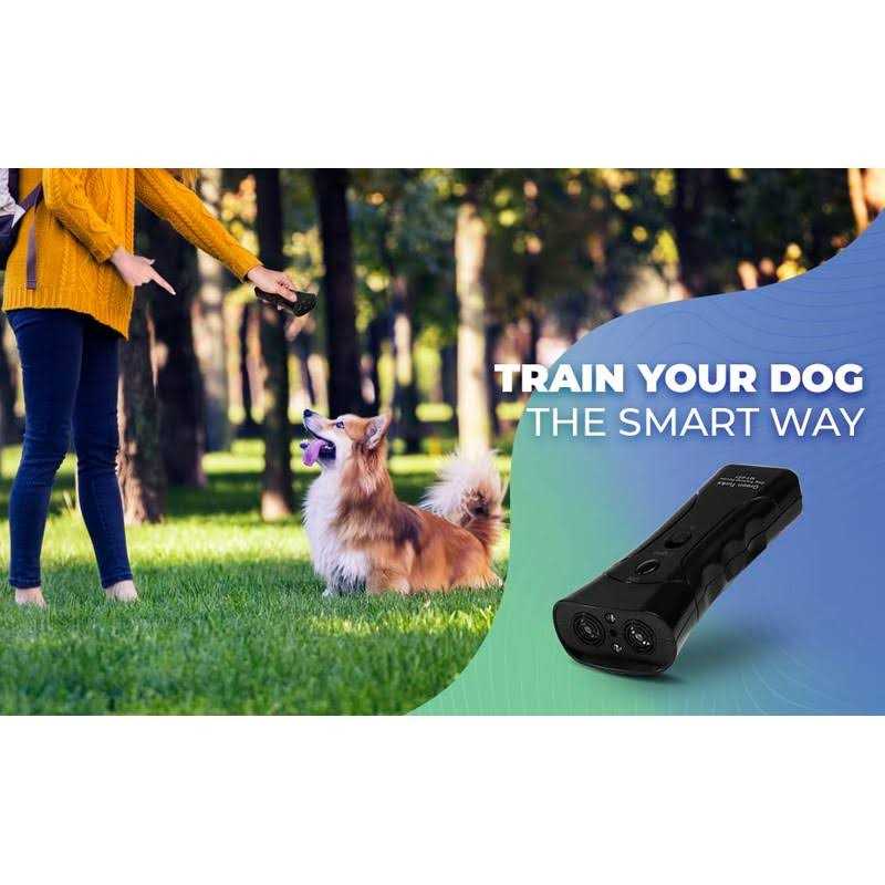 Handheld Anti Barking Dog Training Device with LED Dual Sensor V7379