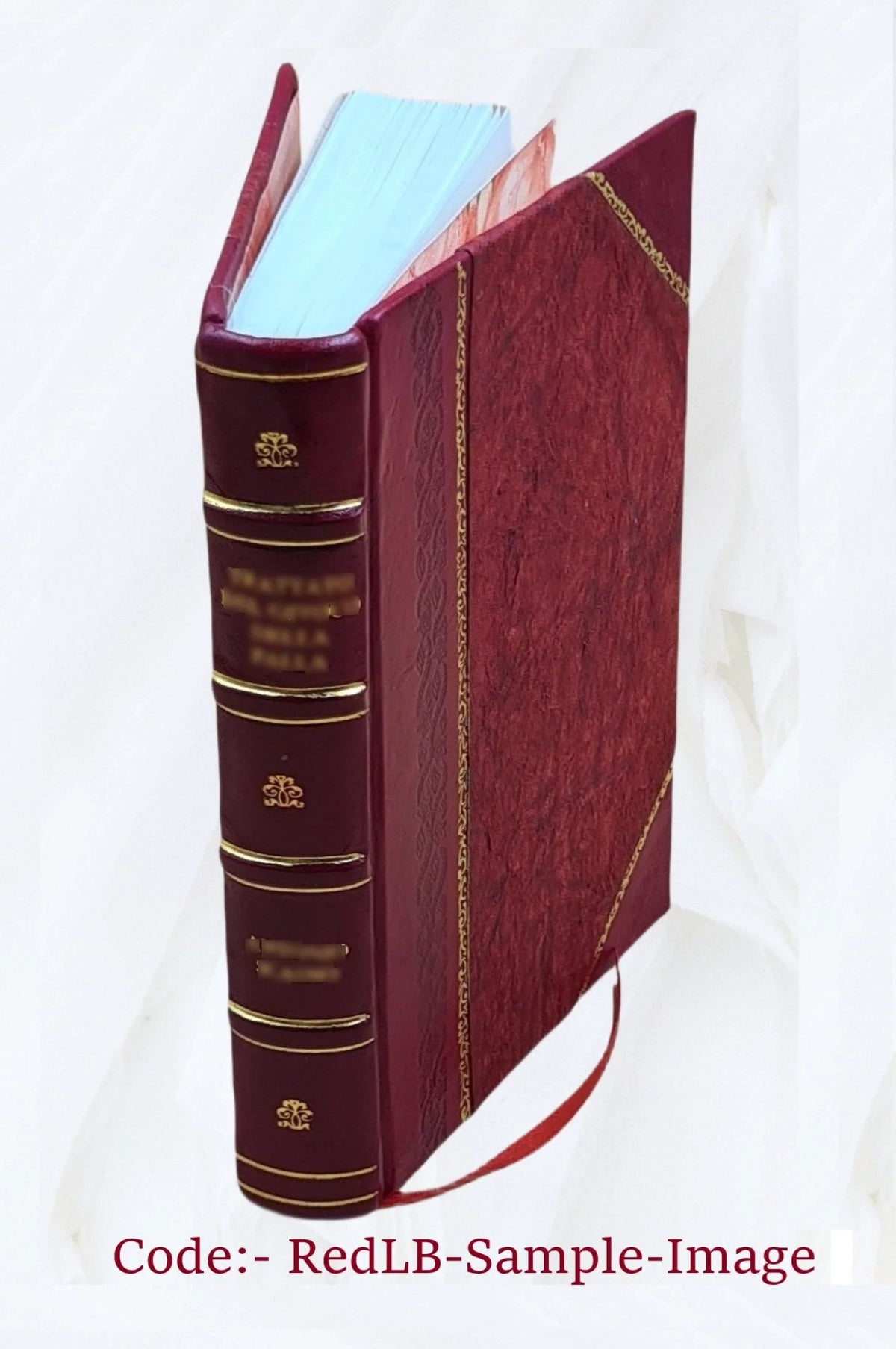 Satyricon, Lusus in Priapum, Errones Venerei, Pervigilium Veneris, Epigrammata E239
