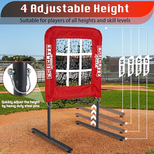 9 Hole Pitching Net with Strike Zone G370864