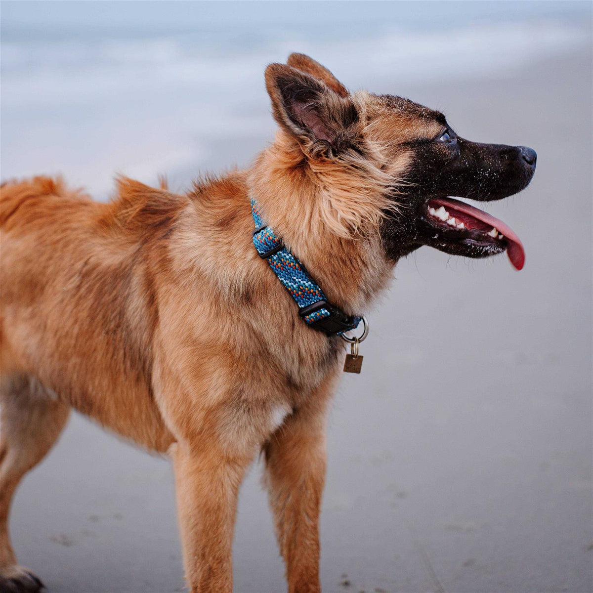 Rope Collar V609