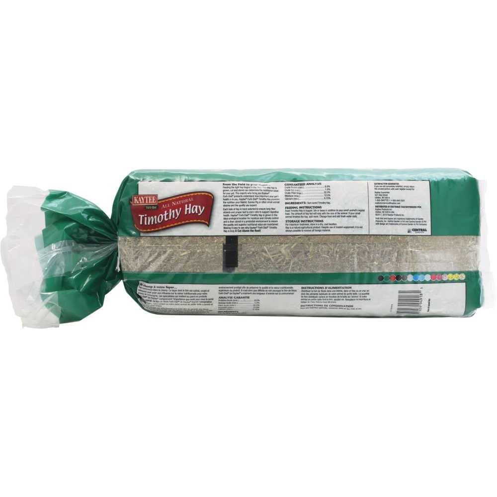 Timothy Hay W565