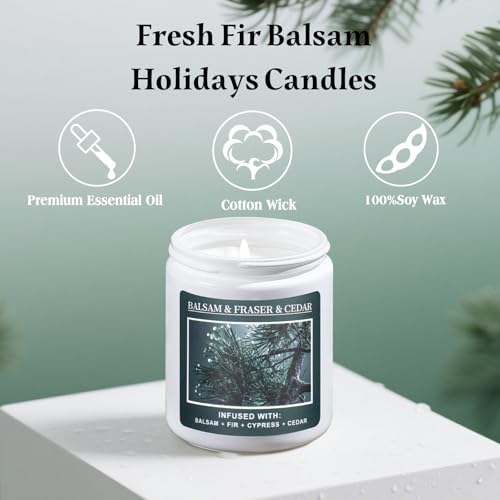 Christmas Tree Fir Pine Candles Z92788
