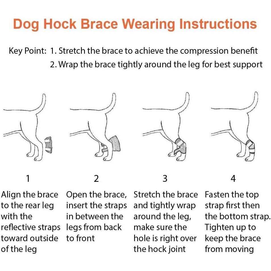 Dog Rear Leg Hock Ankle Support with Reflective Straps K580
