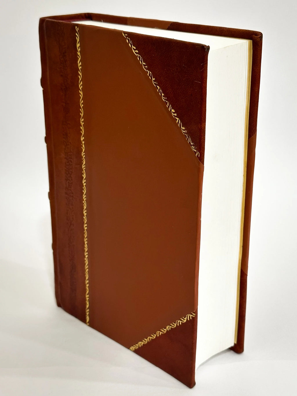Leather Bound Book V55317