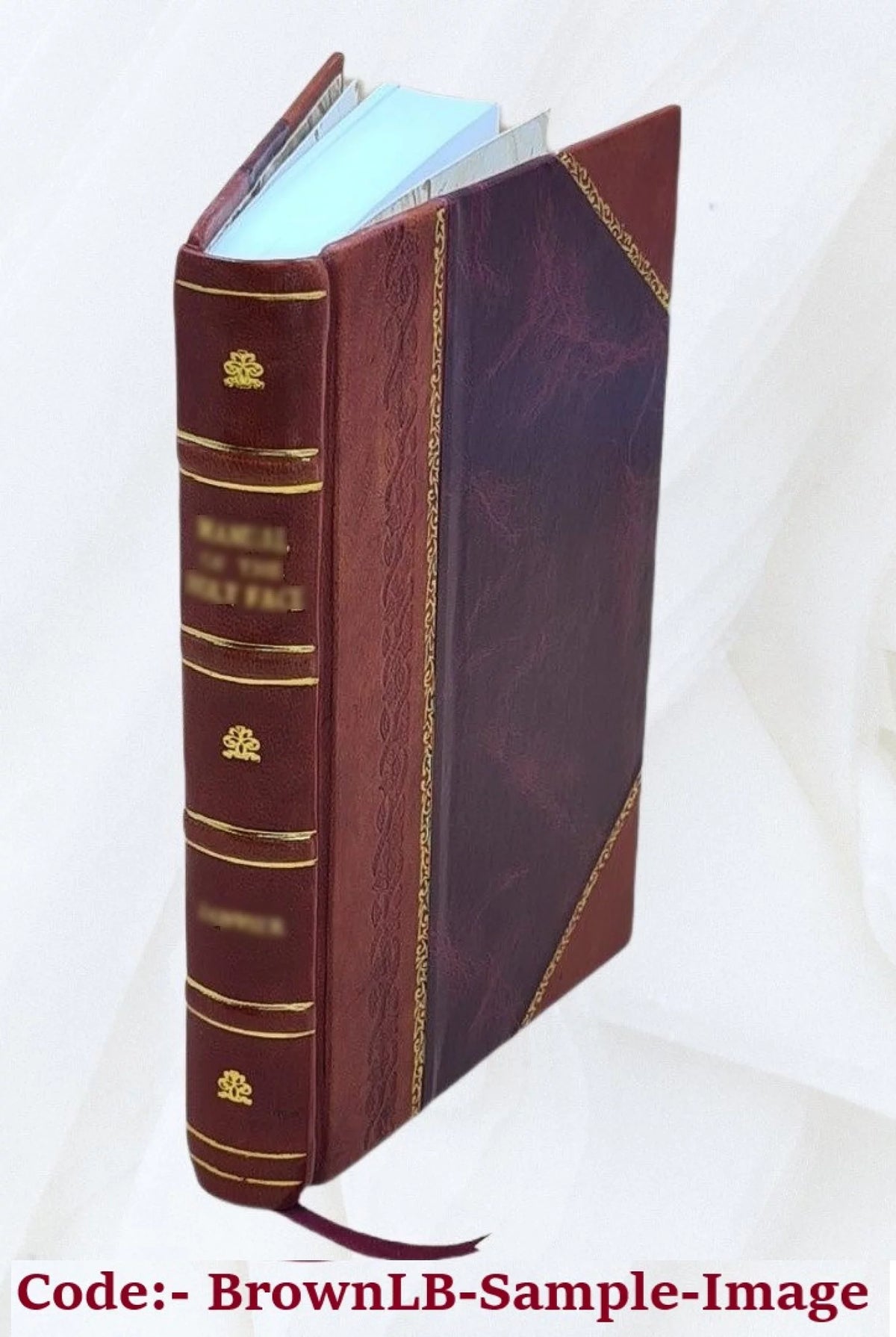 Satyricon, Lusus in Priapum, Errones Venerei, Pervigilium Veneris, Epigrammata E239