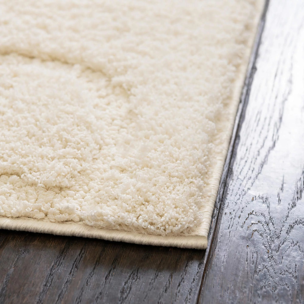 8' x 10' Ivory Shag Rug S10844