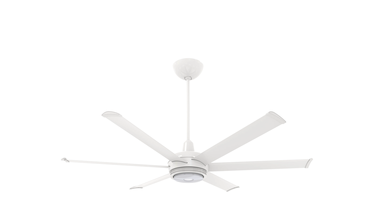 White 60 Ceiling Fan with Downlight and Uplight I805