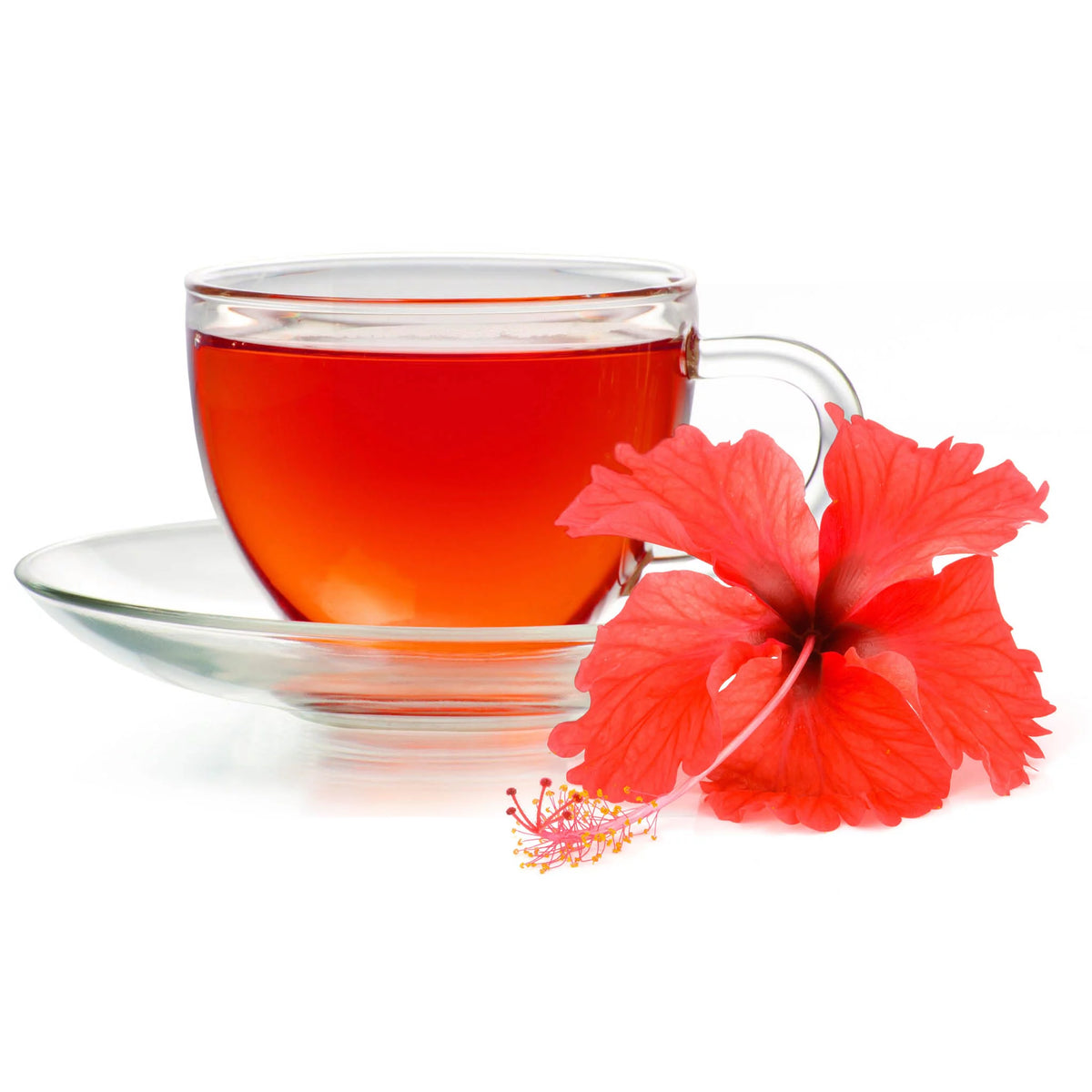 Hibiscus Tea 100 Bags L7731