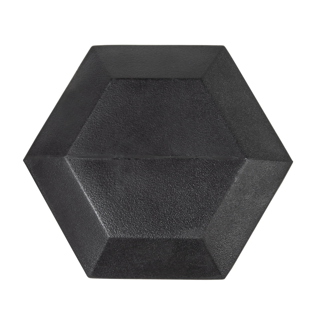25lb Rubber Hex Dumbbell Y3983