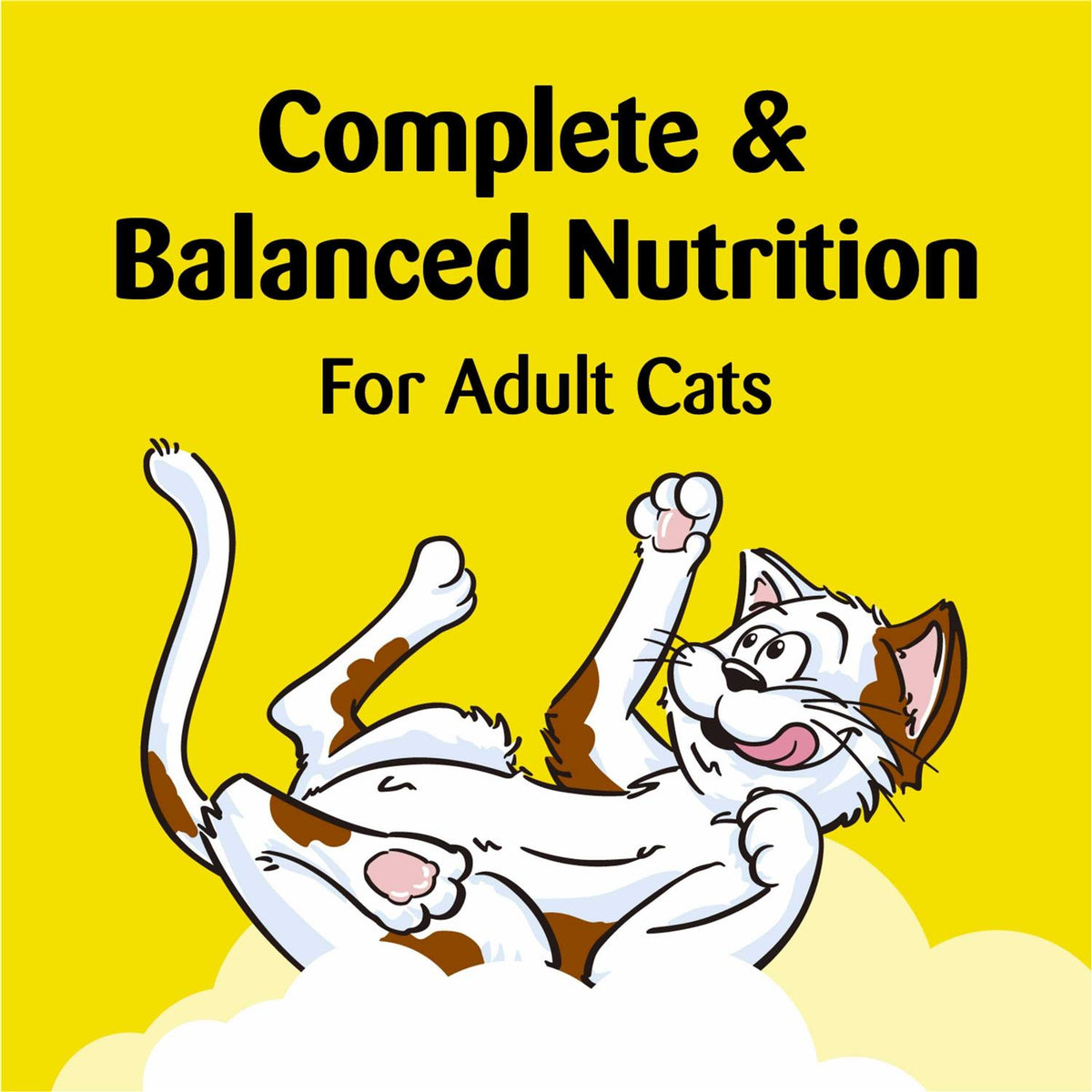 Cat Treats U116