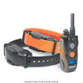 Remote Training Collar R807