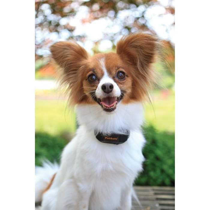 Vibration Bark Control Dog Collar G9892