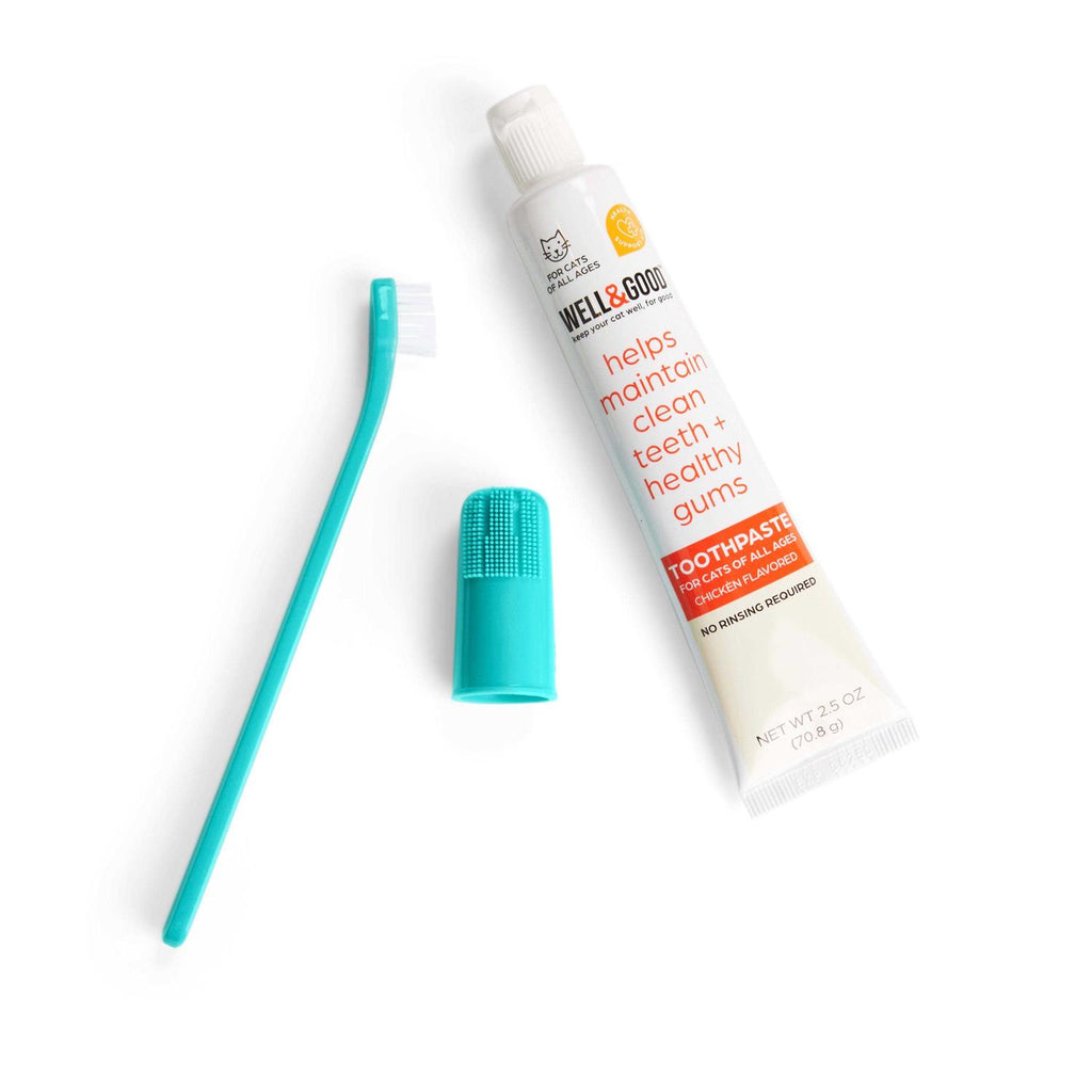 Chicken Flavored Cat Dental Health Kit C937