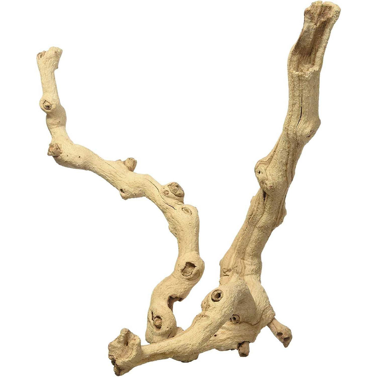 Sand Blasted Grape Vine G721333