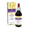 Oats Alcohol-free Tincture 4 fl oz Liquid Herbal Supplement Vegan H1562