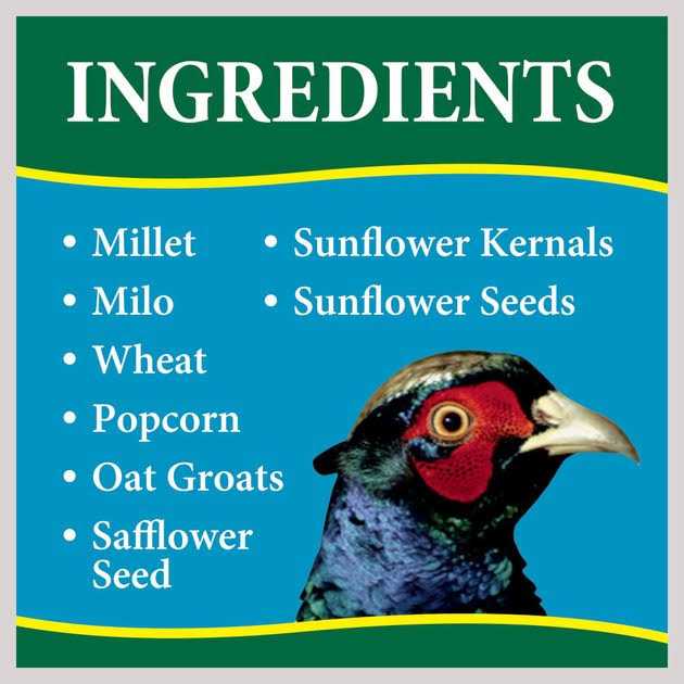 Dove Quail Food I519122