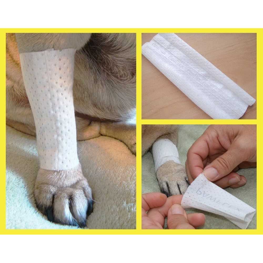 Pet Bandages Protective Covers D43425