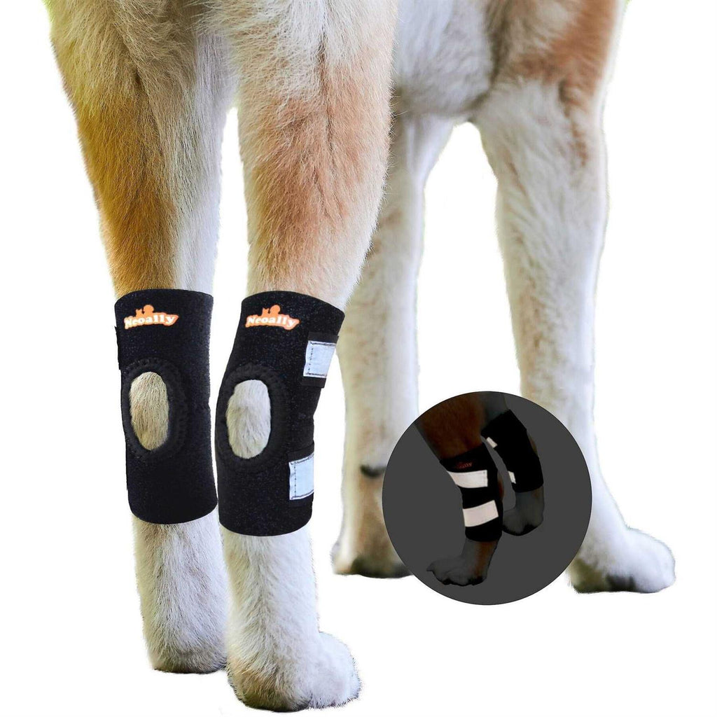 Dog Rear Leg Hock Ankle Support with Reflective Straps K580