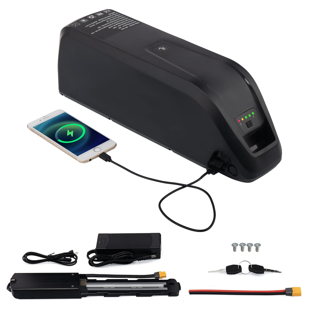 48V 20AH Lithium Ebike Battery X72880