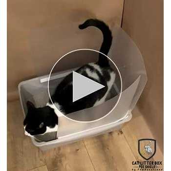 Cat Litter Box Pee Shields P344901