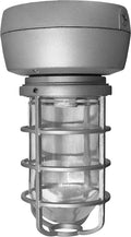 50W Metal Halide Ceiling Light Black with Glass Globe Q9690