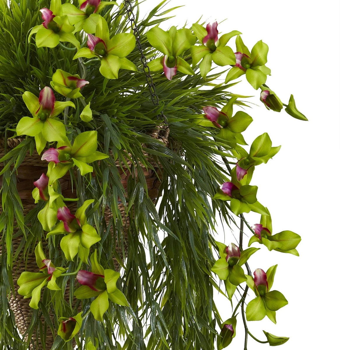 Bamboo & Dendrobium Hanging Basket Green D2775